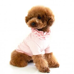 フリルトップス/ 2色