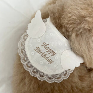 犬用 天使のバースデイスタイ｜Happy Birthday 羽付き レース スタイ｜誕生日 記念日 撮影用 ホワイト